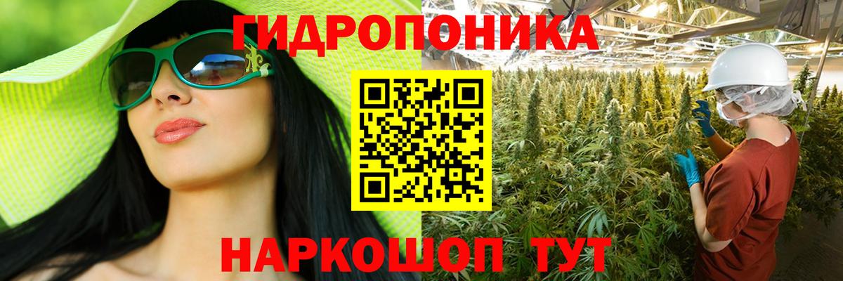 Шишки марихуана индика Балахна